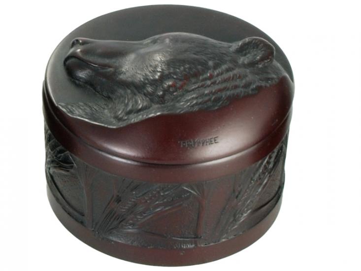 Bear Box – Strength in Stillness