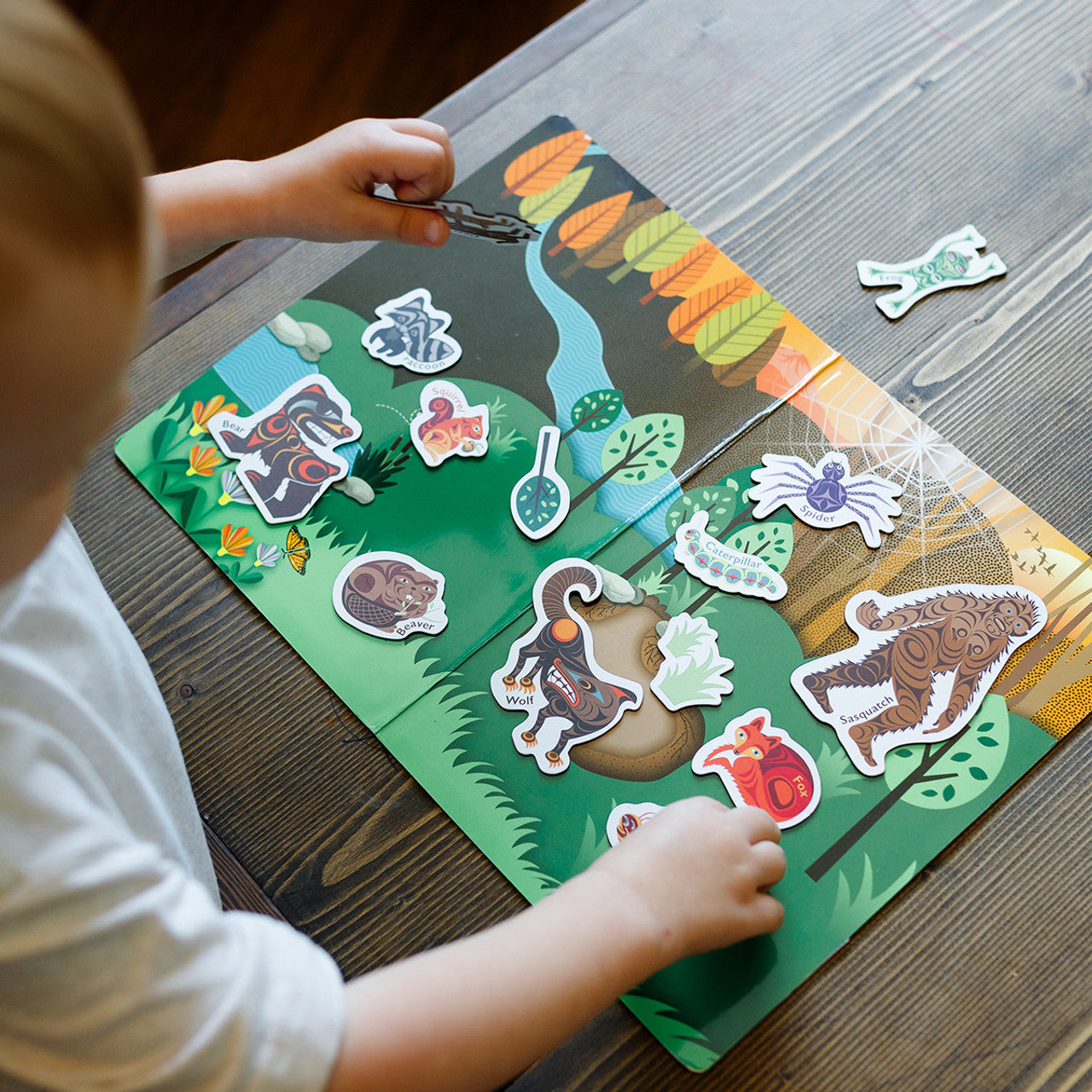 Magnetic Animals – Animals of the Salish Sea: In the Forest