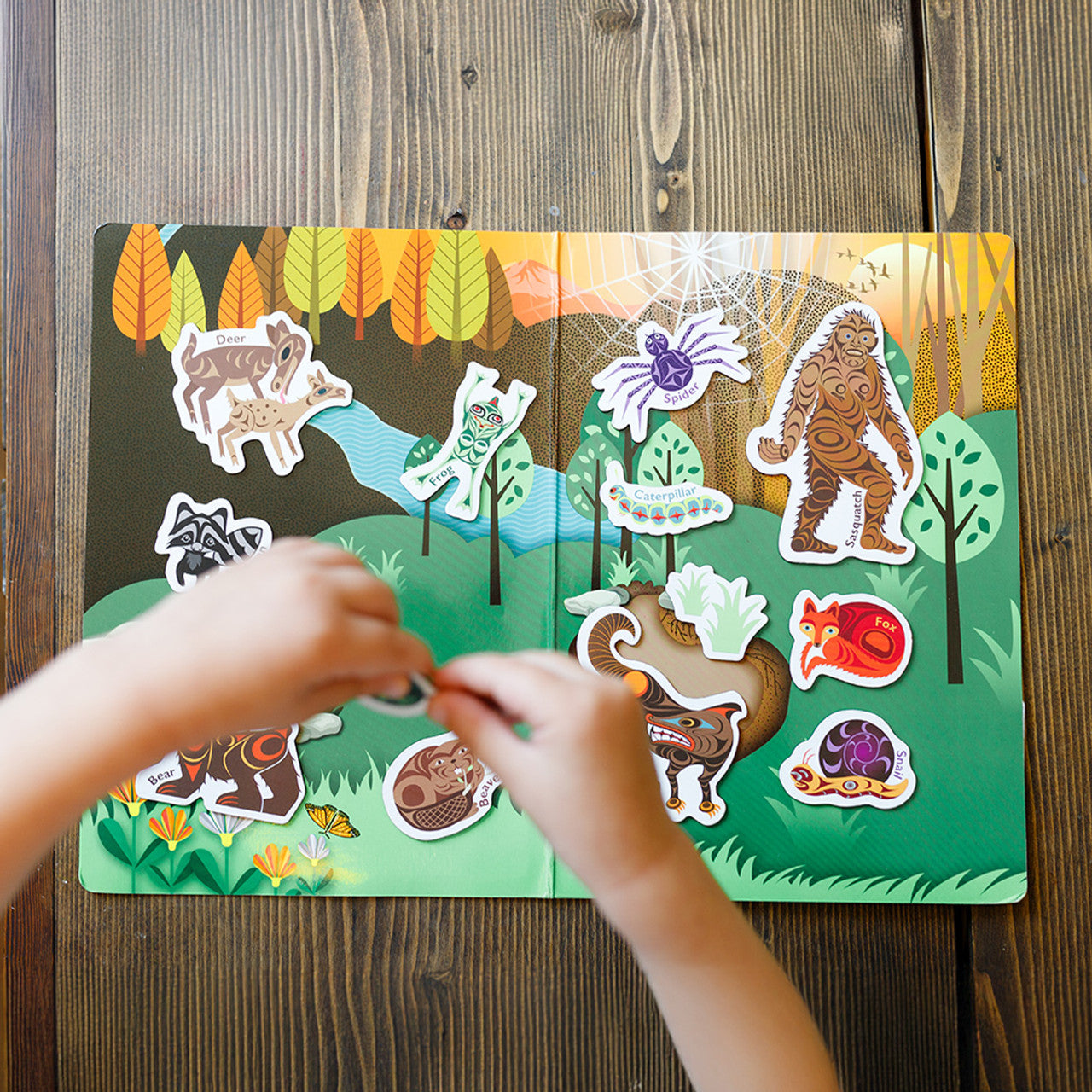 Magnetic Animals – Animals of the Salish Sea: In the Forest