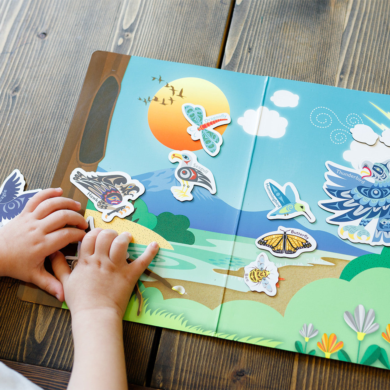 Magnetic Animals – Animals of the Salish Sea: In the Sky