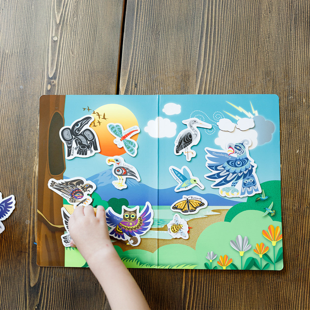 Magnetic Animals – Animals of the Salish Sea: In the Sky