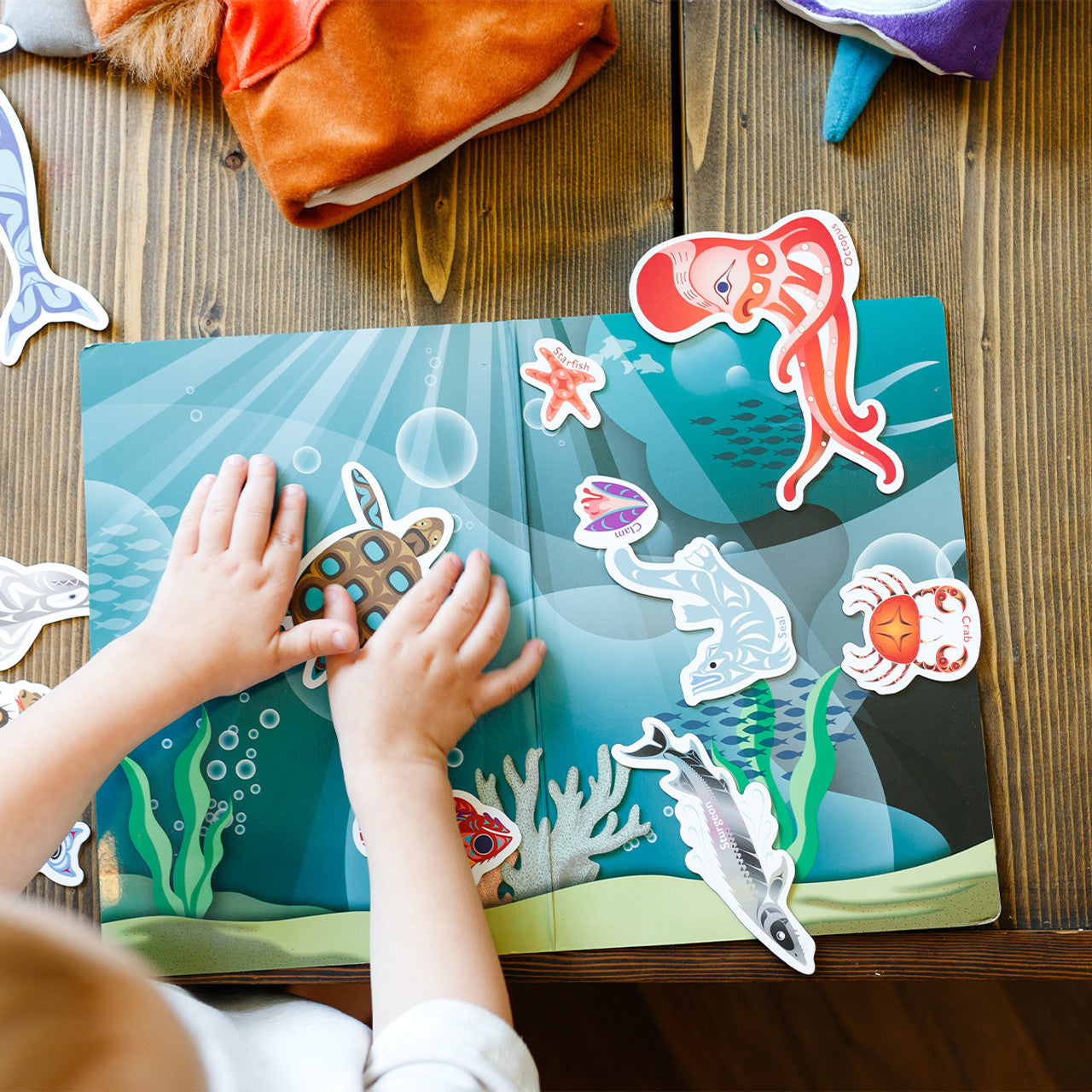 Magnetic Animals – Animals of the Salish Sea: In the Ocean