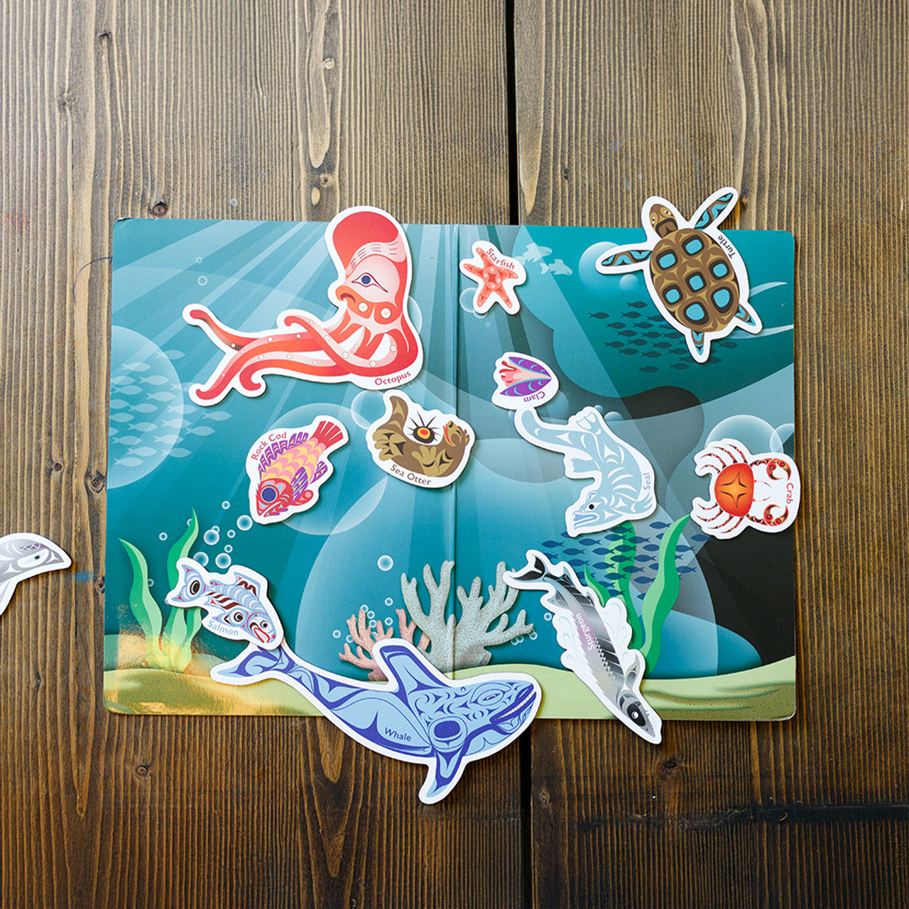 Magnetic Animals – Animals of the Salish Sea: In the Ocean