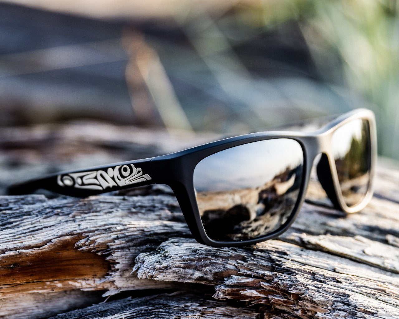 Jeremy Unisex Sunglasses Frog (Blue or Brown-Silver)