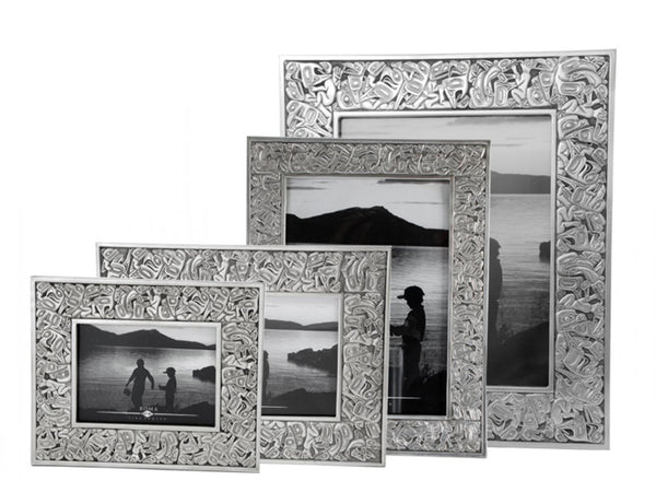 Native Panel Frame